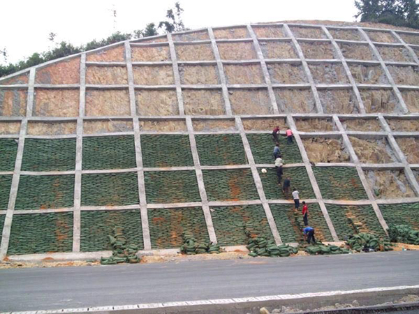 隨岳高速錨桿框架梁支護,植生袋液壓噴播植草